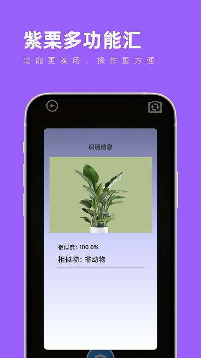 紫栗多功能汇app下载,紫栗多功能汇,工具箱app
